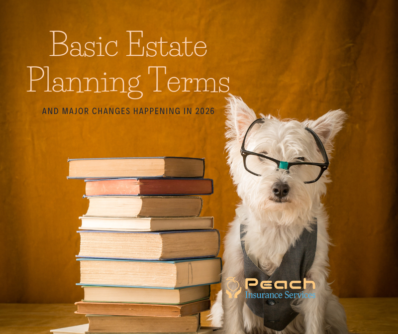 Basic Estate Planning Terms and Major Changes in 2026
