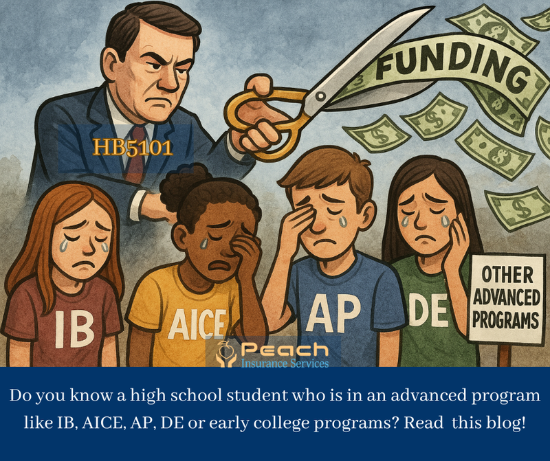 Florida HB 5101: How Funding Cuts Will Impact Advanced Academic Programs