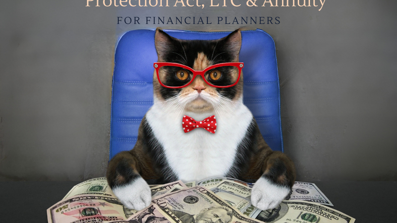 Understanding the Pension Protection Act: A Guide for Financial Planners