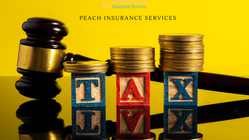 Our New Year's Gift:  Your 2024 Tax Guide